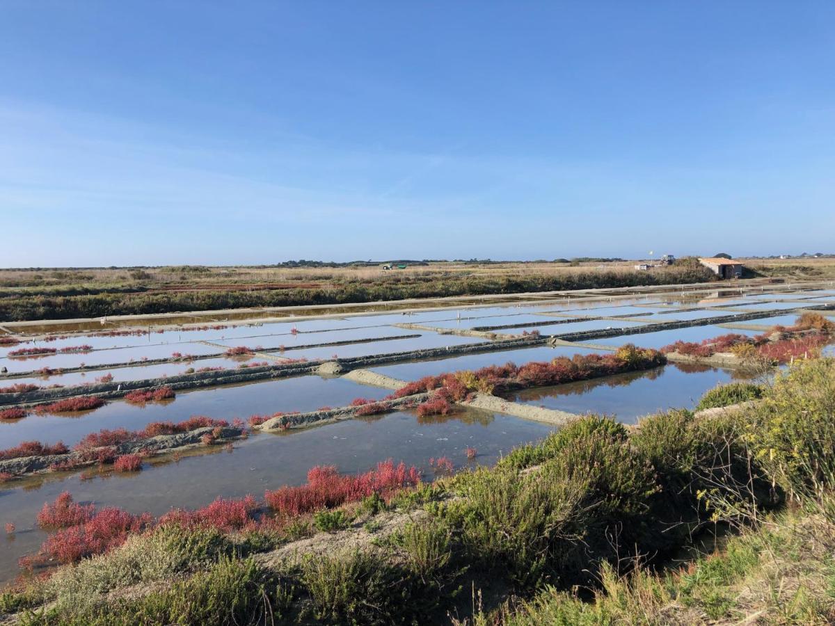 Les Pois Sont Verts La Rochelle  Exterior foto
